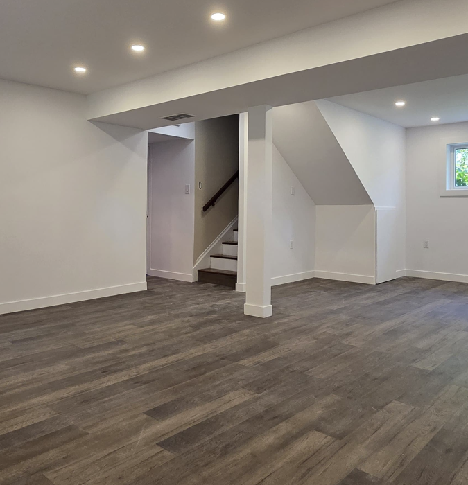 bassreno_basement