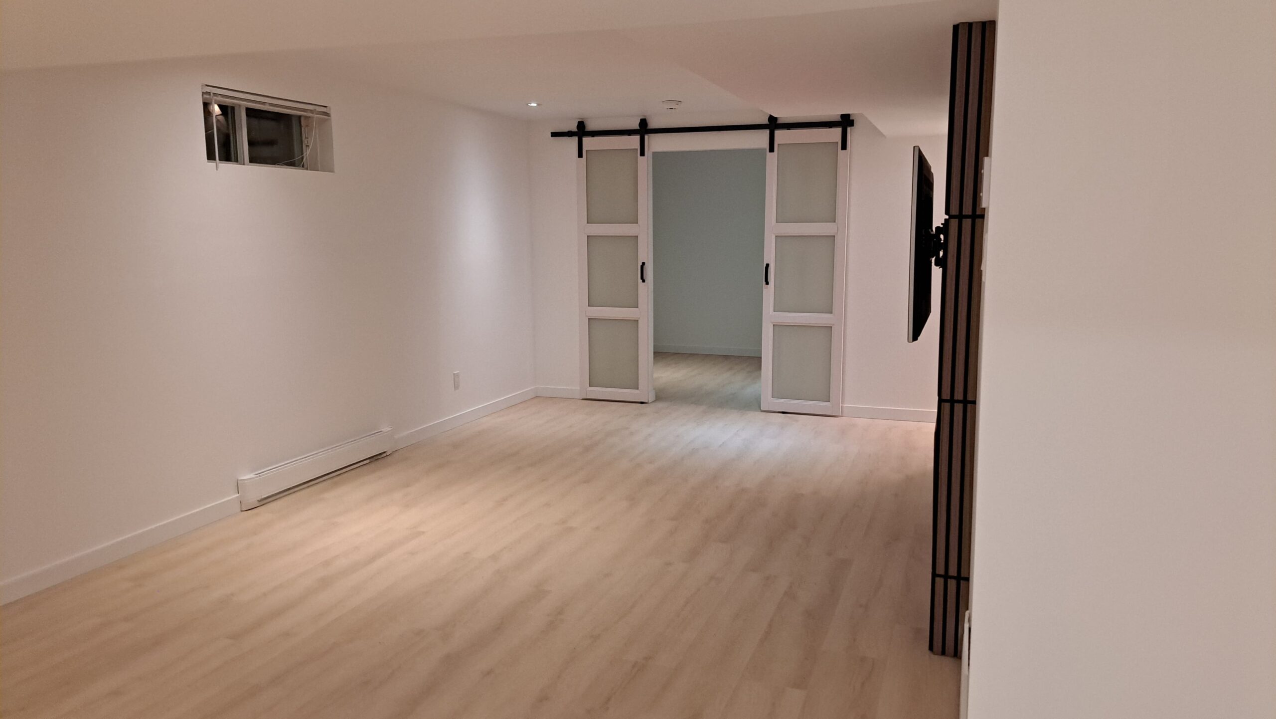 bassrenovations_basement PM (3)